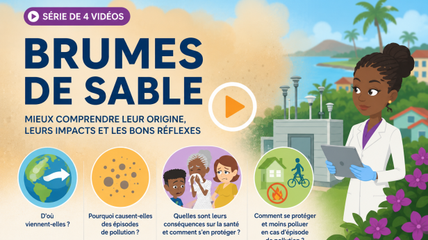 Brumes de sable&nbsp;: 4 vidéos pour comprendre leurs impacts sur l’air et la santé