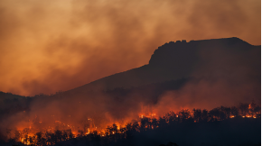 Impacts du changement climatique 