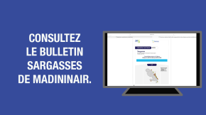 Restez informé(e)s de la qualité de l’air avec le bulletin Sargasses de Madininair