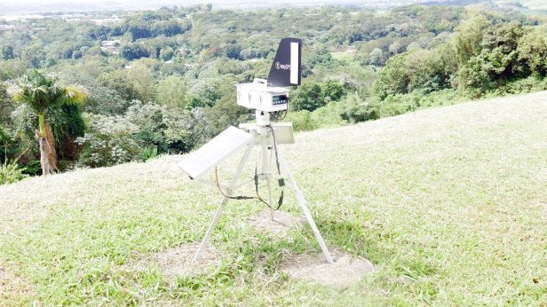 Pollens et moisissures dans l’air ambiant&nbsp;: une nouvelle organisation nationale de la surveillance