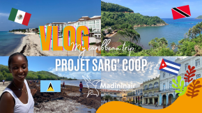 Projet Sarg’Coop : un partage d’expérience en format vidéo