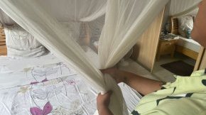 Je mets une moustiquaire pour éviter d’utiliser des insecticides. 