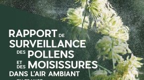 Publication du rapport national 2020 de surveillance des pollens et moisissures dans l’air ambiant